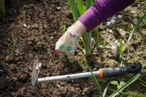 working in the garden
